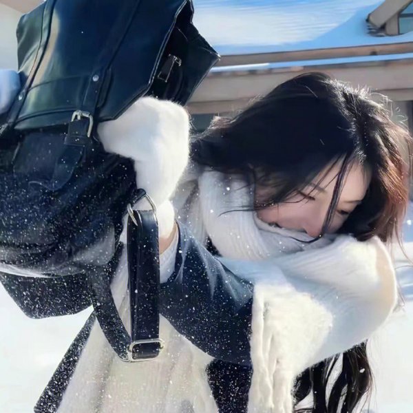 冰河世纪：猛犸象的圣诞