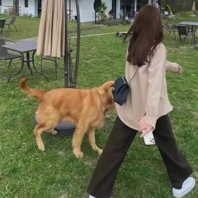 惩罚者短片：脏物清洁